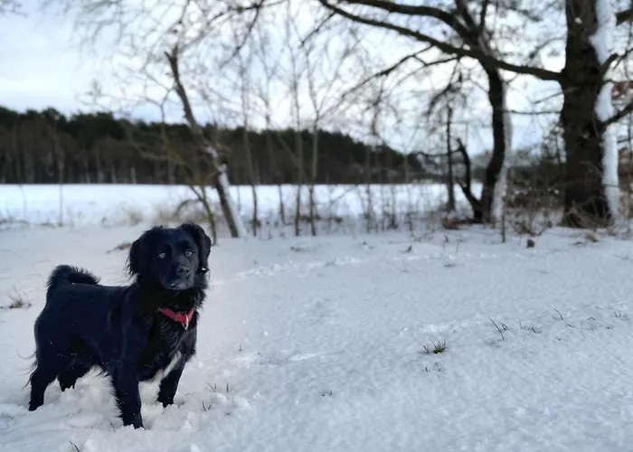 Landruhe Vakantiehuis *