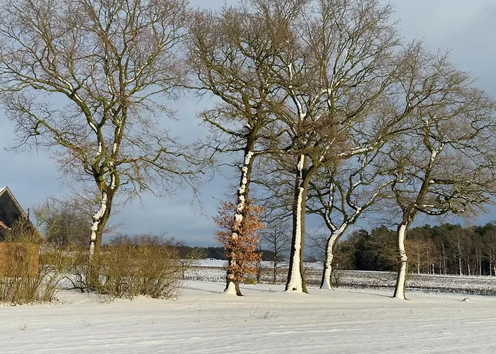 Landruhe Vakantiehuis *